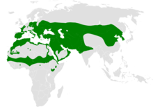 نقشه پراکندگی و زندگی چکاوک تاجدار